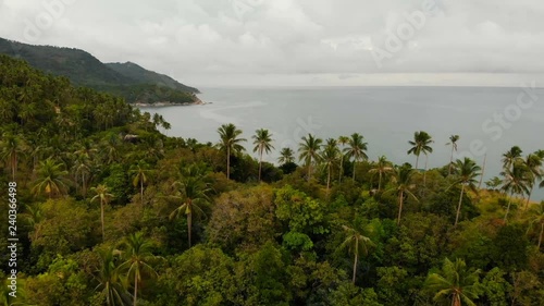 Aerial drone top view of exotic paradise tropical coastal cliff with volcanic stones covered with green jungle rainforest and coconun palms washed with calm ocean or sea, Koh Prangan island, Thailand photo