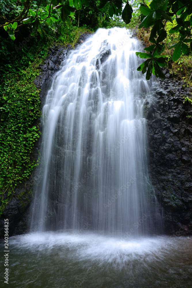 View of a cascading waterfall in Tahiti, French Polynesia