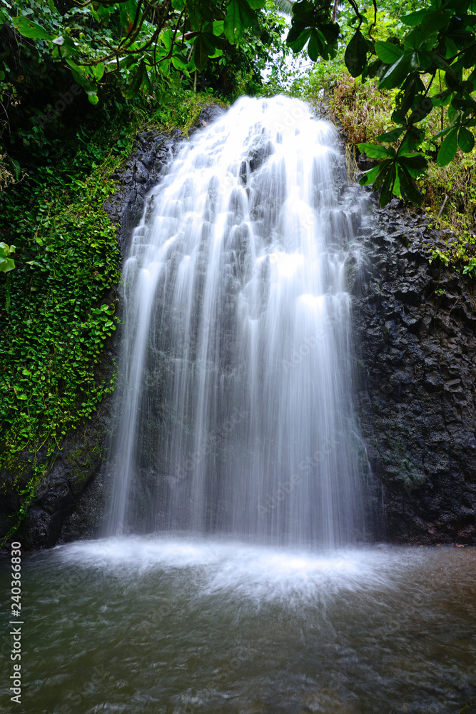 Obraz premium View of a cascading waterfall in Tahiti, French Polynesia