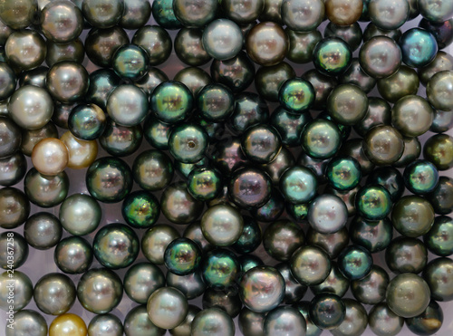 Vászonkép Black and green Tahitian pearls in bulk for sale in French Polynesia