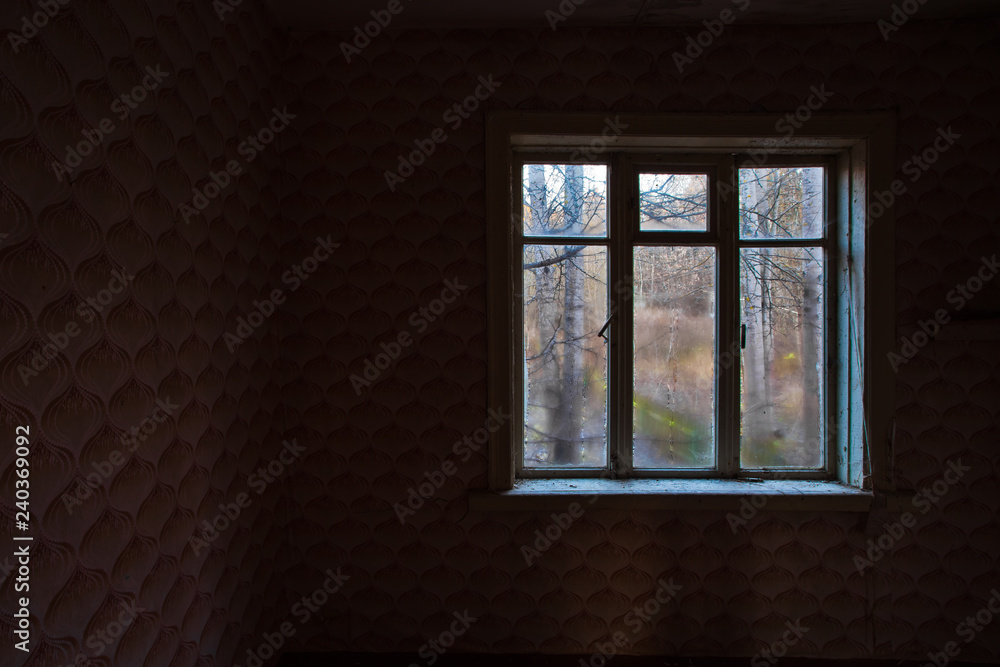 View from the window in an abandoned house through the wet glass at the trees. View from the window in an abandoned house through the wet glass at the trees.