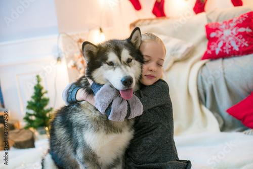 Cute girl  with blond hair having fun at home with a dog Malamute and Labrador at home in a decorated room for Christmas
 photo