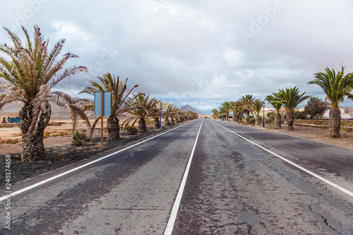 Tropical Fuerteventura road with palm trees and volcano on the horizon. Canary island  Spain