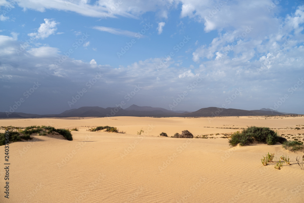 Corralejo Dunes Natural Park, Fuerteventura, Spain