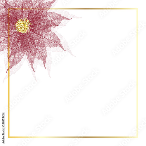 Beautiful red Poinsettia flower. Vector illustration. eps 10.