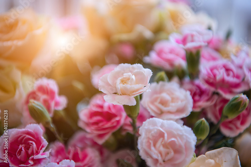 The bouquet of a red carnation
