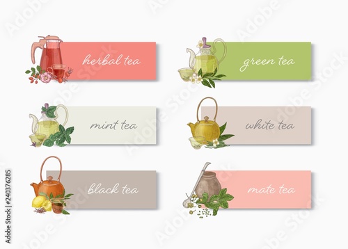 Bundle of banner or label templates with various types of tea, teapots, cups, leaves, flowers and place for text. Elegant realistic vector illustration in vintage style for advertisement, promotion.