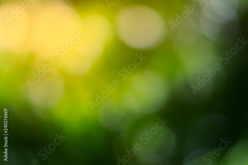 nature green background