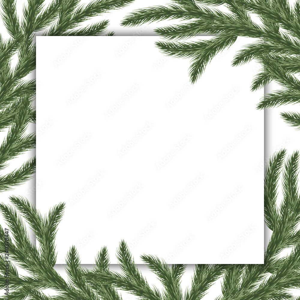 Background Christmas tree branches. Vector illustration.
