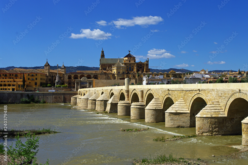 Roman Bridge, La Mezquita (Grand Mosque) and Cathedral, Córdoba, Spain