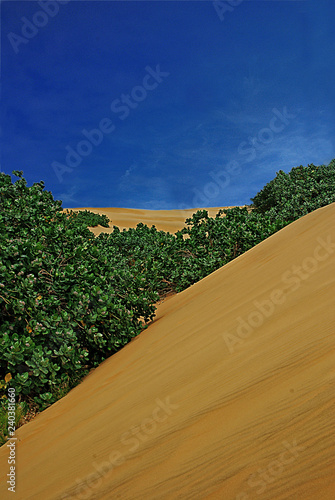 Parque Nacional Los Medanos de Coro photo