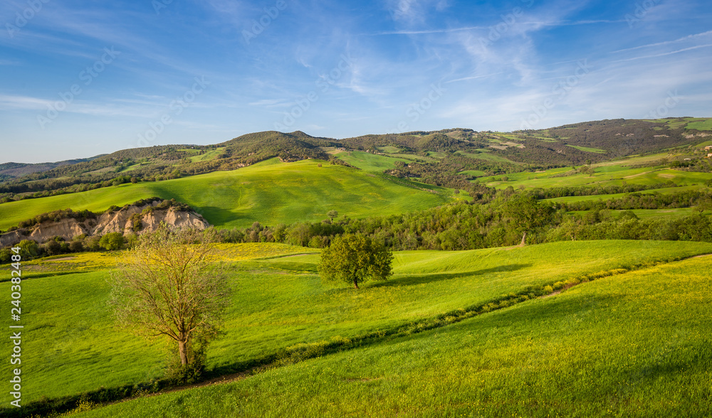 Toscana Val d'Orcia fields landscape