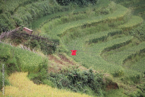 In vietnam paesaggio località d sapa photo