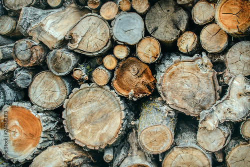pile of natural wooden logs background