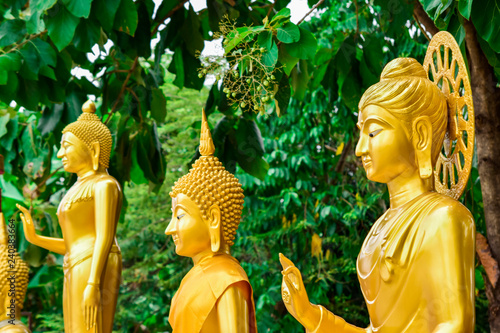 Photography Golden Buddha statue from Thailand