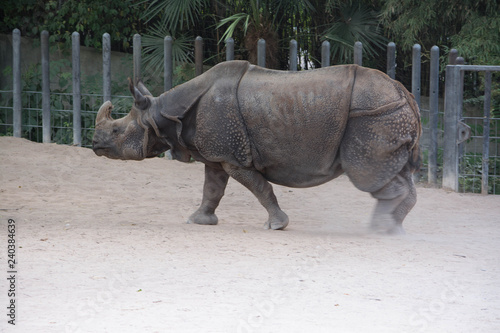 Wilhelma Tiere Pflanzen fische