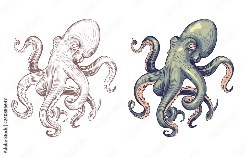Octopus. Seafood sea animal squid with tentacles cartoon and hand drawn ...