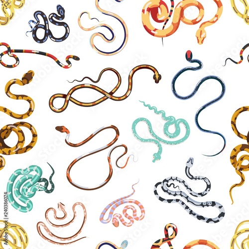 Seamless pattern with various snakes or serpents on white background. Backdro...