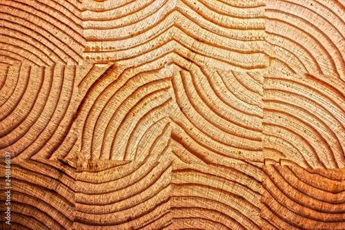 texture of a cross-section of a pine tree close-up, cross-section of annual rings