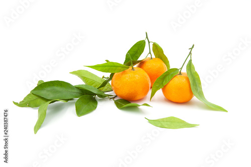 tres mandarinas con hojas en fondo blanco