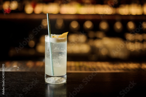 Bild auf Leinwand Delicious Gin Fizz cocktail with tubule in the decorative glass