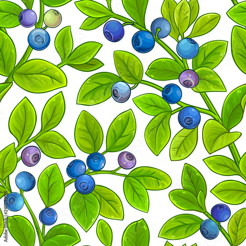 bilberry vector pattern