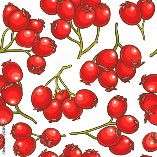 hawthorn berries vector pattern