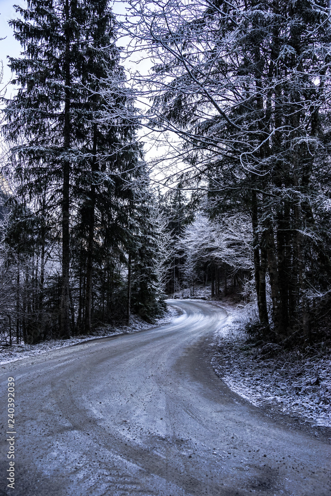 Fototapeta premium Winterpanorama. Winterstraße. Winterurlaub. Österreich. Italy.