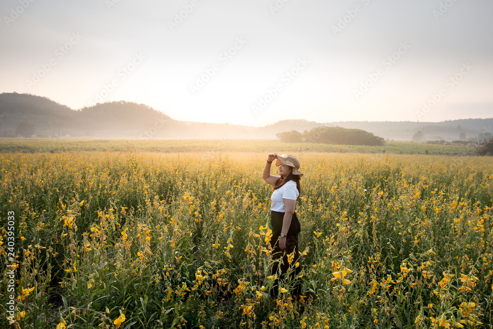 women in yellow flower field and sunrise landscape background