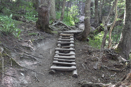 Rustic  wooden  staircase