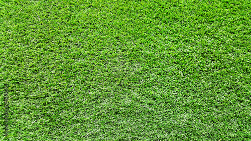 green grass texture or background