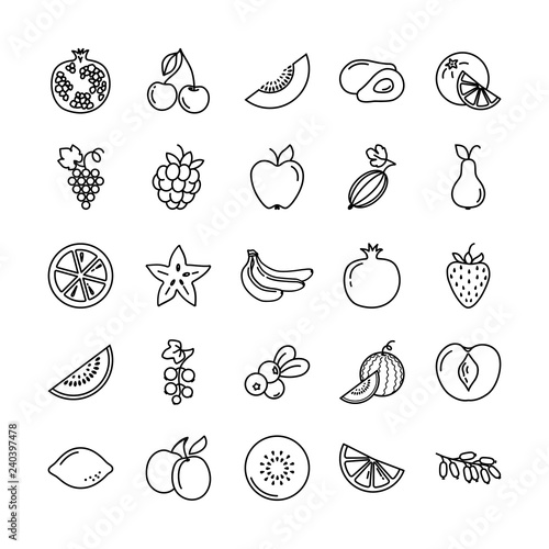 Set of fruits icons illustration background in isolated vector. Perfectly suitable for revision or use for printing in books  publishing on websites.