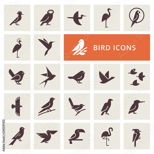 Vector birds icon set in gray color. Isolated items birds. Perfect for illustration, decoration and print.