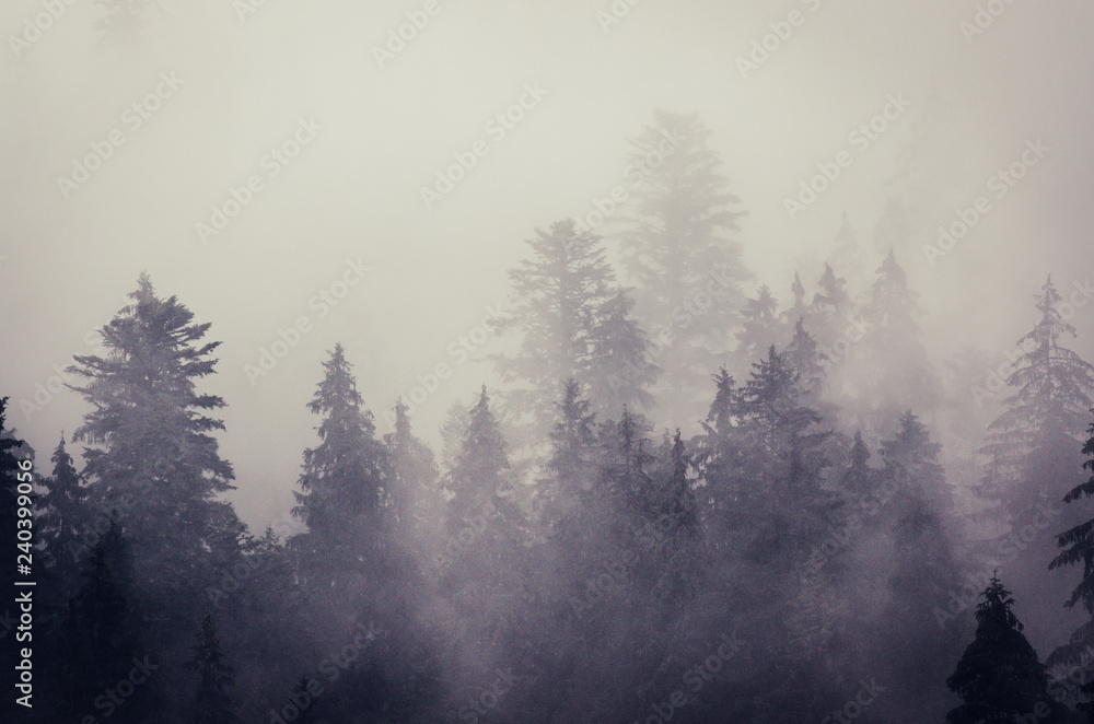 Fototapeta premium Misty mountain landscape