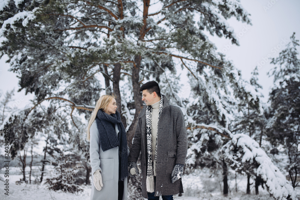 A young beautiful couple is walking in the winter park, hugging and having fun. A young beautiful couple is walking in the winter park, hugging and having fun.