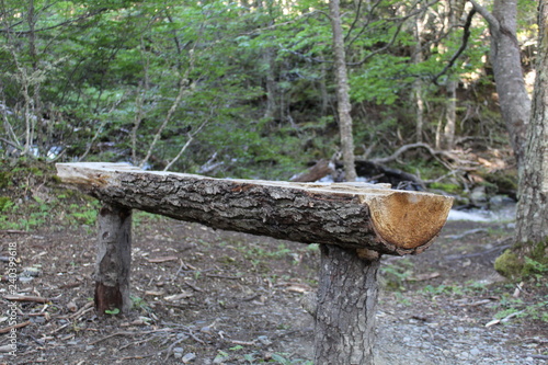 Rustic  wooden  seat