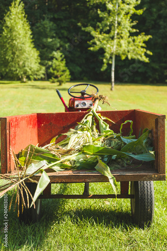 old red tractor trailer with corn husks