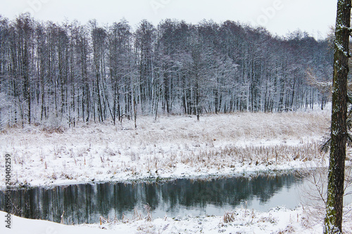 Winter. Christmas and New Year. The forest is reflected in the mirror of a snowy river. Winter landscape