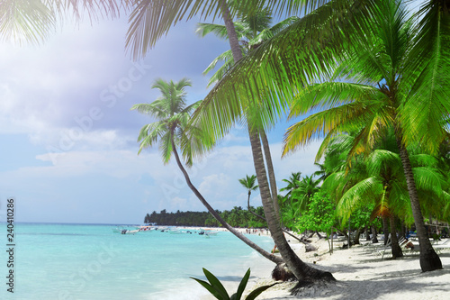 Tropical beach, turquoise sea, white sand and palm trees photo