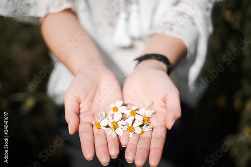 hands holding flower, 