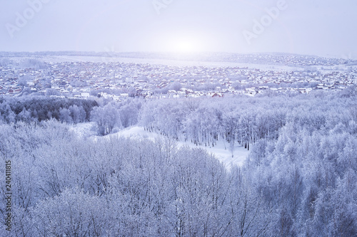 Winter. Forest and village covered with snow. View from above.
