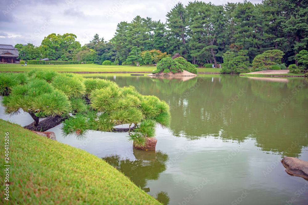 岡山後楽園 沢の池の風景