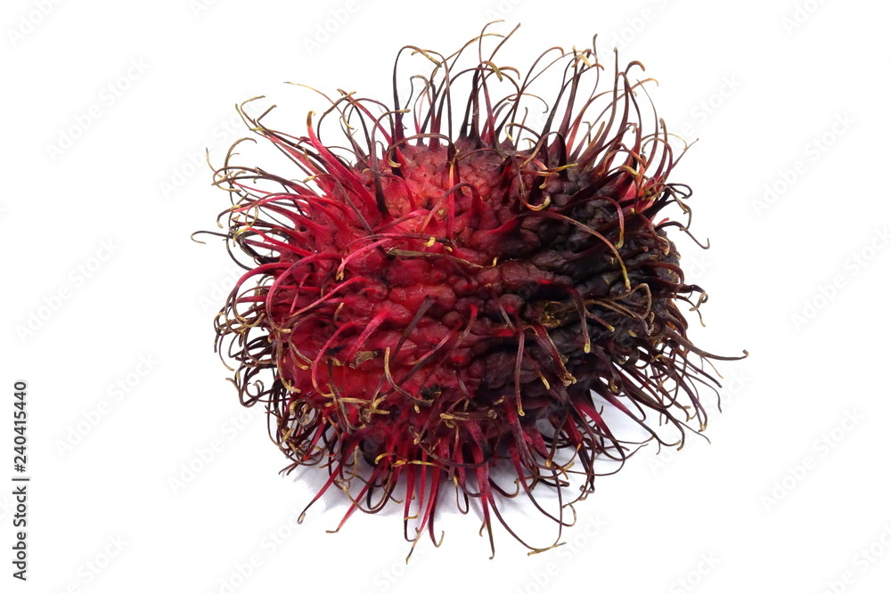 Rambutan fruit (Nephelium lappaceum) Rambutan fruit (Nephelium lappaceum)
