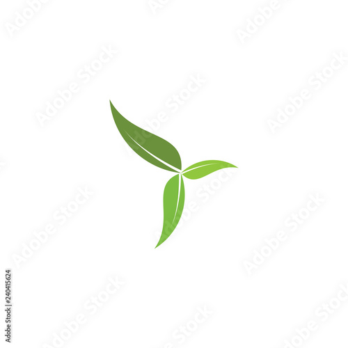 Fototapeta Naklejka Na Ścianę i Meble -  Triple leaf logo design