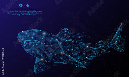 Abstract image of a shark in the form of a constellation. Consisting of lines and dots.