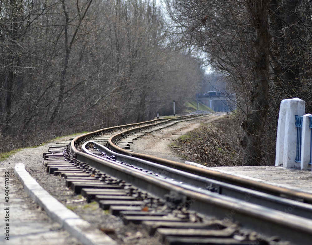 Fototapeta premium Railway in the forest in early spring