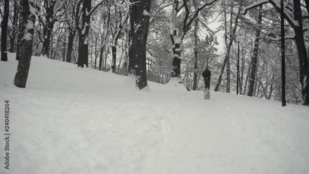 Old man with its pet in winter city park Old man with its pet in winter city park