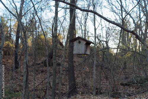 birdhouse on tree © photocinemapro