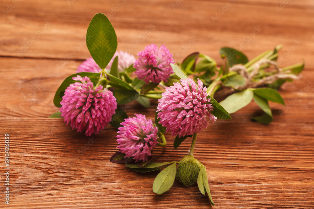 Clover flowers on wooden background. Beautiful purple wild flower. Medicinal herb. Close-up of red clover flowers in the lighting Studio