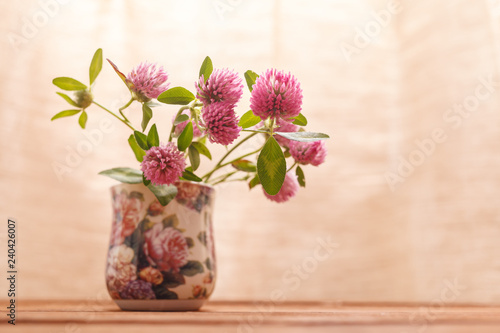 Wallpaper Mural Clover flowers on wooden background. Beautiful purple wild flower. Medicinal herb. Close-up of red clover flowers in the lighting Studio Torontodigital.ca